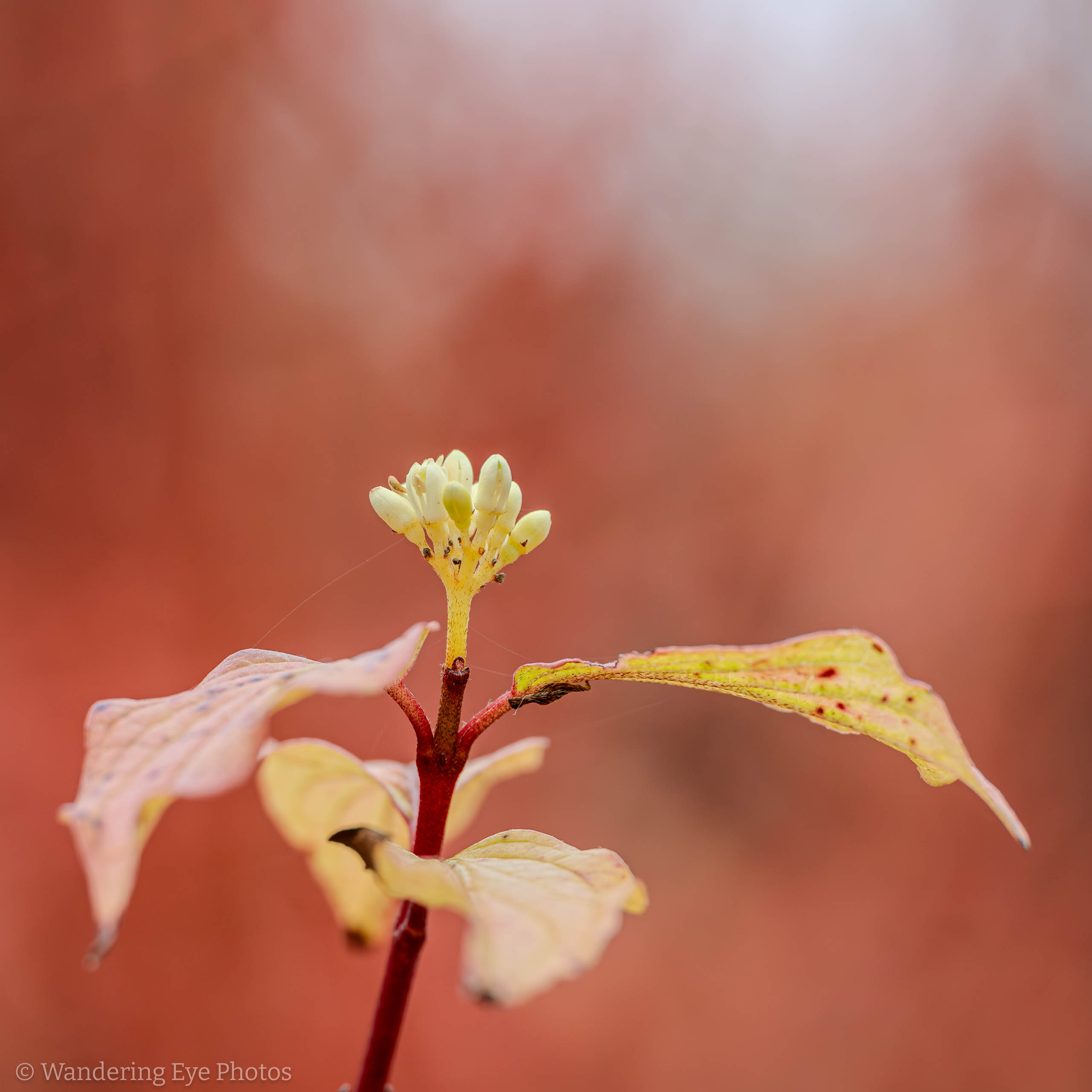 11.09 14.02.15   PB090380